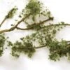 Bachmann Wire Foliage Branches - Medium Green -Model Train Shop 32644