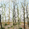 Bachmann Wood's Edge Trees - Bare (14 Per Pack) -Model Train Shop BAC32509